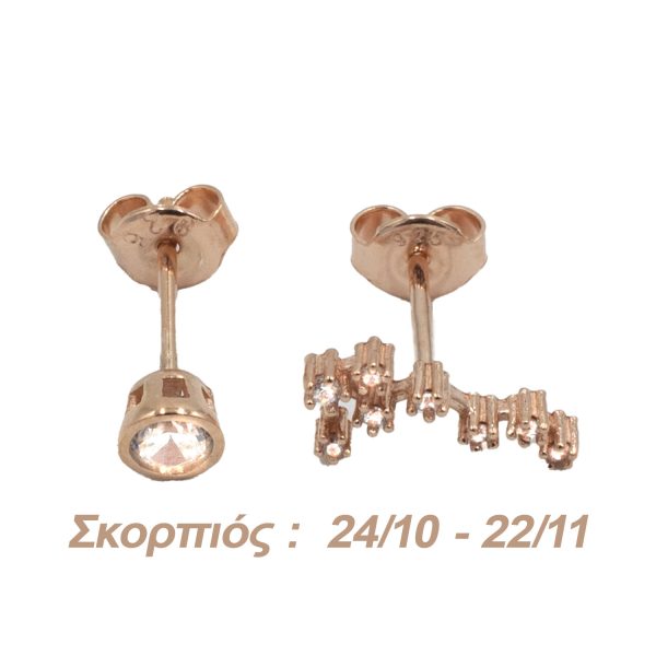 Σκουλαρίκια Αυτιού Ασημένια με Επιχρύσωμα και Ζιργκόν - AG8