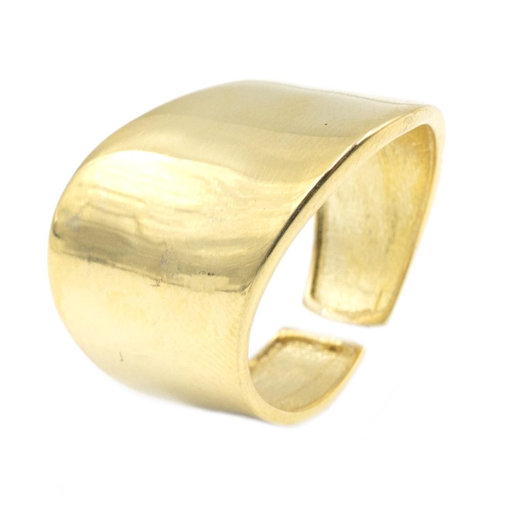 Δαχτυλίδι Ασημένιο Επιχρυσωμένο με Σχέδιο- SL088T539