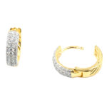 Σκουλαρίκια Αυτιού Ασημένια Επιχρυσωμένα Κρίκοι με Ζιργκόν - EIT1