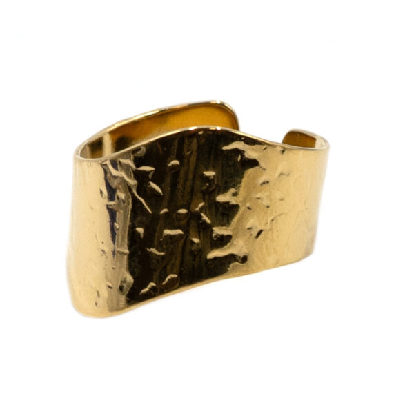 Δαχτυλίδι από Ατσάλι Επιχρυσωμένο - DAXT219