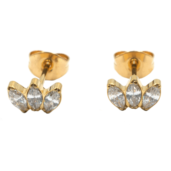 Σκουλαρίκια Αυτιού από Τιτάνιο Επιχρυσωμένα με Καρφωτά Ζιργκόν- TB-1539Y