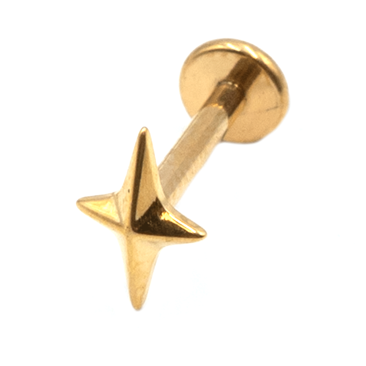 Σκουλαρίκι Αυτιού από Επιχρυσωμένο Τιτάνιο - TB-1933Y