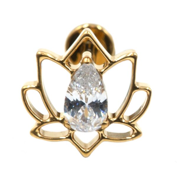 Σκουλαρίκι Αυτιού από Επιχρυσωμένο Τιτάνιο με Ζιργκόν - TB-1949Y