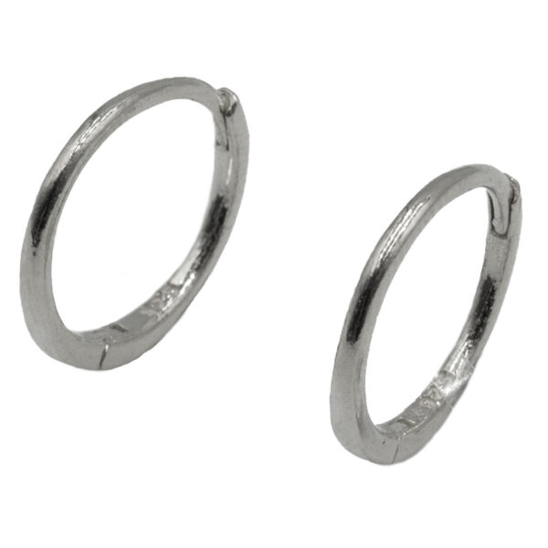 Σκουλαρίκια Αυτιού Ασημένια Επιπλατινωμένα Κρίκοι - EIT31