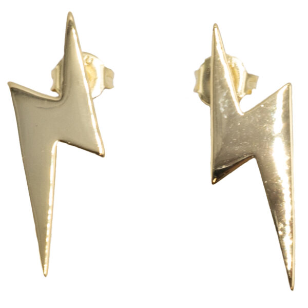 Σκουλαρίκια Αυτιού Ασημένια Επιχρυσωμένα - ΕΙΤ12