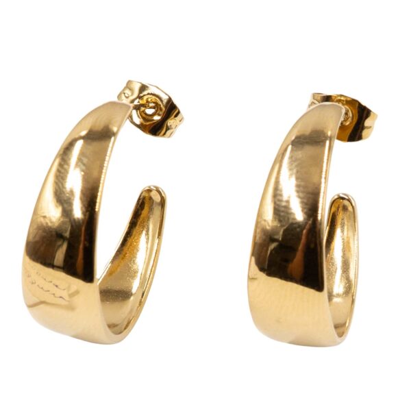 Σκουλαρίκια Αυτιού από Χειρουργικό Ατσάλι Επιχρυσωμένο - ATSEAR84