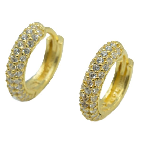 Σκουλαρίκια Αυτιού Ασημένια Επιχρυσωμένα Κρίκοι με Ζιργκόν - EIT43