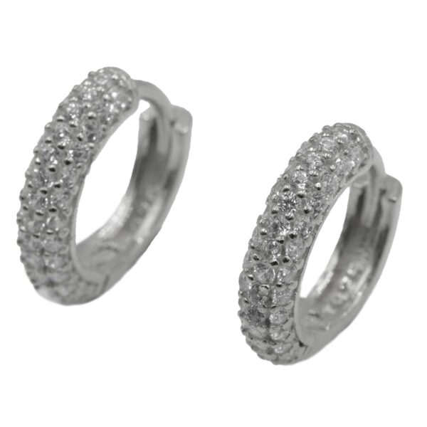 Σκουλαρίκια Αυτιού Ασημένια Επιπλατινωμένα Κρίκοι με Ζιργκόν - EIT44