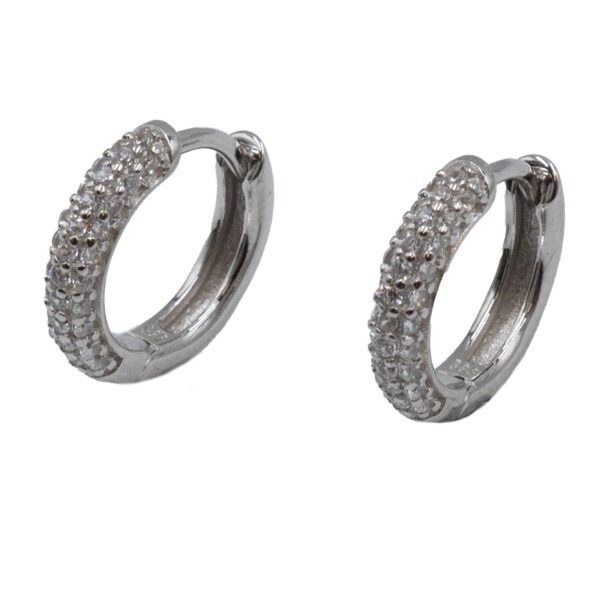 Σκουλαρίκια Αυτιού Ασημένια Επιπλατινωμένα Κρίκοι με Ζιργκόν - EIT59