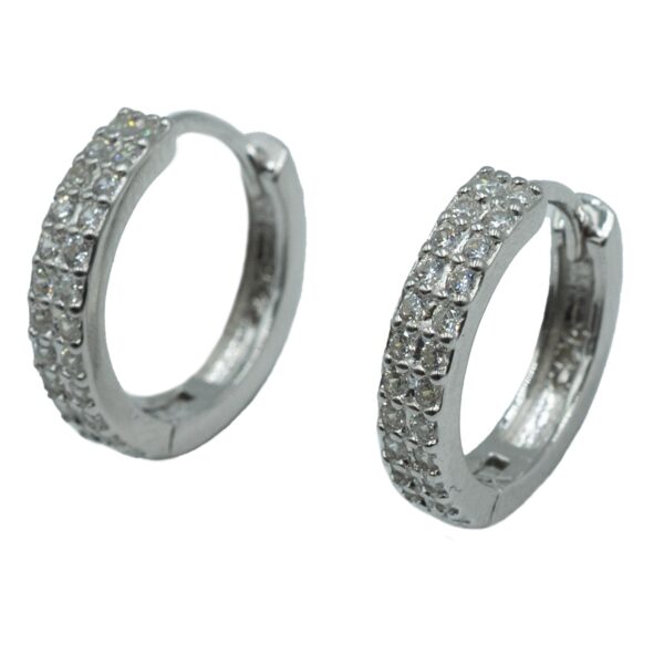 Σκουλαρίκια Αυτιού Ασημένια Επιπλατινωμένα Κρίκοι με Ζιργκόν - EIT36