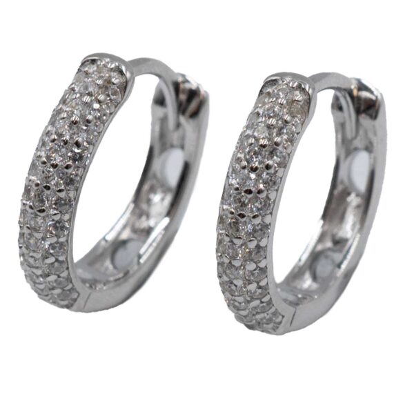 Σκουλαρίκια Αυτιού Ασημένια Επιπλατινωμένα Κρίκοι με Ζιργκόν - EIT60