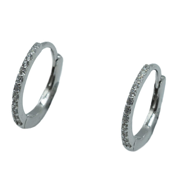 Σκουλαρίκια Αυτιού Ασημένια Επιπλατινωμένα Κρίκοι με Ζιργκόν - EIT33
