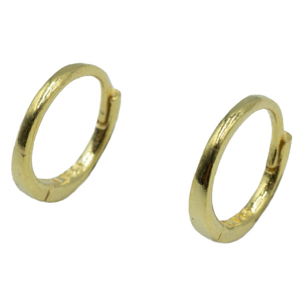Σκουλαρίκια Αυτιού Ασημένια Επιχρυσωμένα Κρίκοι - EIT22
