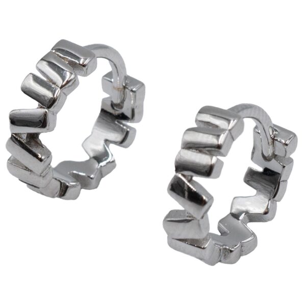 Σκουλαρίκια Αυτιού Ασημένια Επιπλατινωμένα Κρίκοι - EIT90