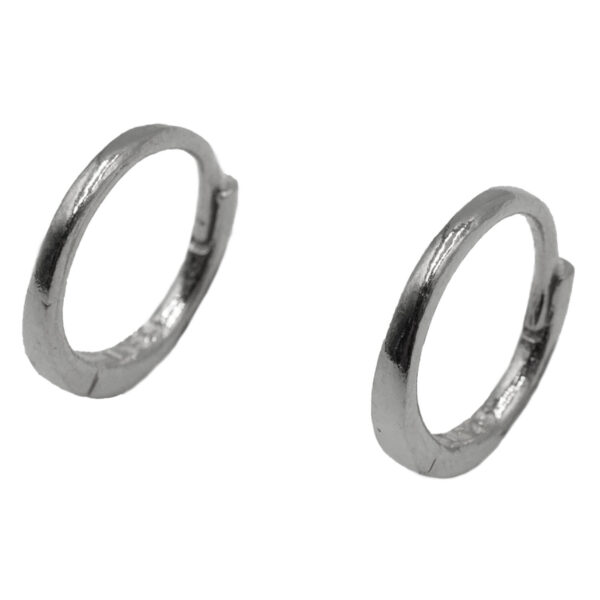 Σκουλαρίκια Αυτιού Ασημένια Επιπλατινωμένα Κρίκοι - EIT29