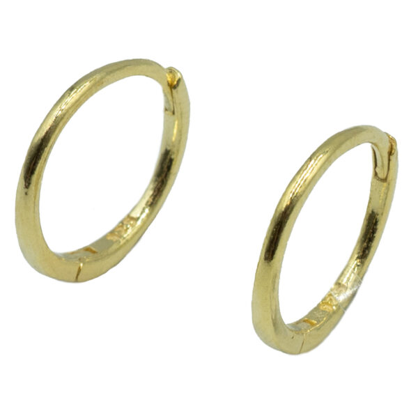 Σκουλαρίκια Αυτιού Ασημένια Επιχρυσωμένα Κρίκοι - EIT24