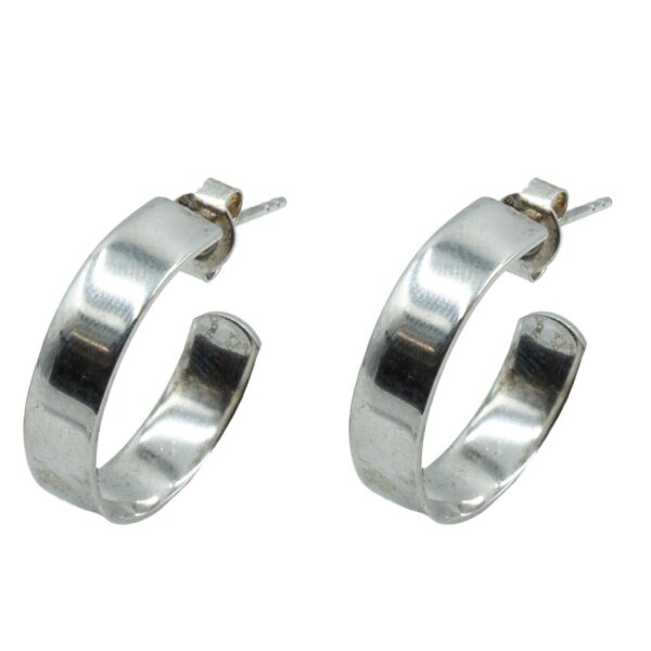 Σκουλαρίκια Αυτιού Ασημένια Επιπλατινωμένα Κρίκοι - EIT150
