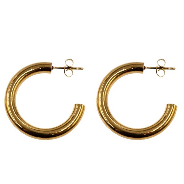 Σκουλαρίκια Αυτιού από Χειρουργικό Ατσάλι Επιχρυσωμένο - ATSEAR193