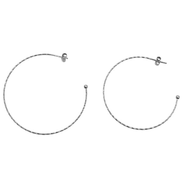 Σκουλαρίκια Αυτιού Ασημένια Επιπλατινωμένα Κρίκοι - EIT97