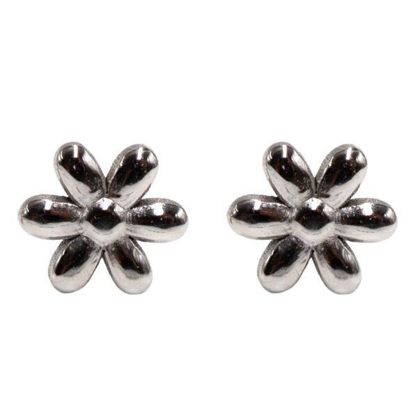 Σκουλαρίκια Αυτιού από Χειρουργικό Ατσάλι - ATSEAR170