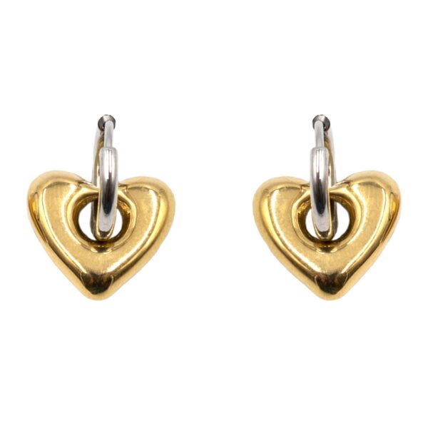 Σκουλαρίκια Αυτιού Δίχρωμα από Χειρουργικό Ατσάλι Επιχρυσωμένο - ATSEAR202