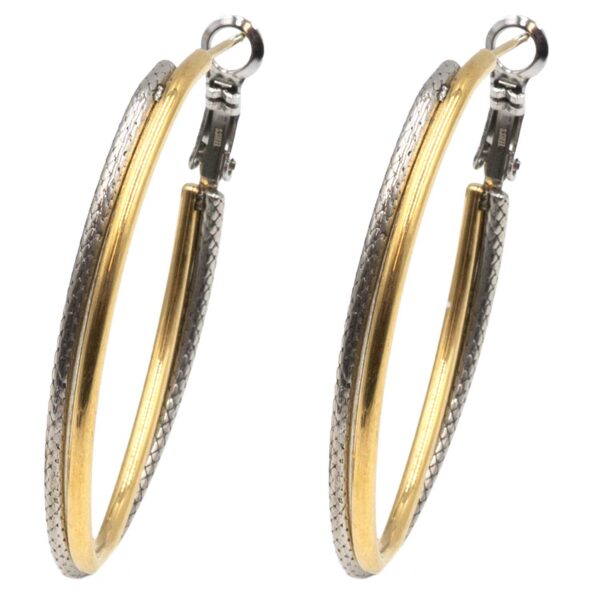 Σκουλαρίκια Αυτιού Δίχρωμα από Χειρουργικό Ατσάλι Επιχρυσωμένο - ATSEAR200