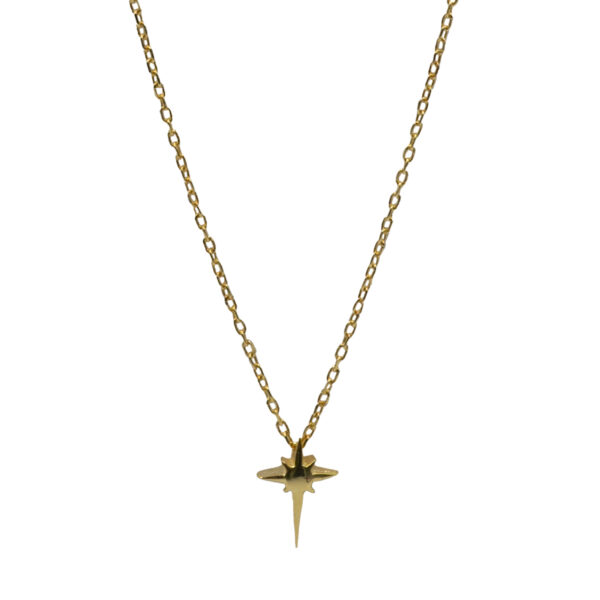 Κολιέ Ασημένιο Επιχρυσωμένο με Σχέδιο- AS142