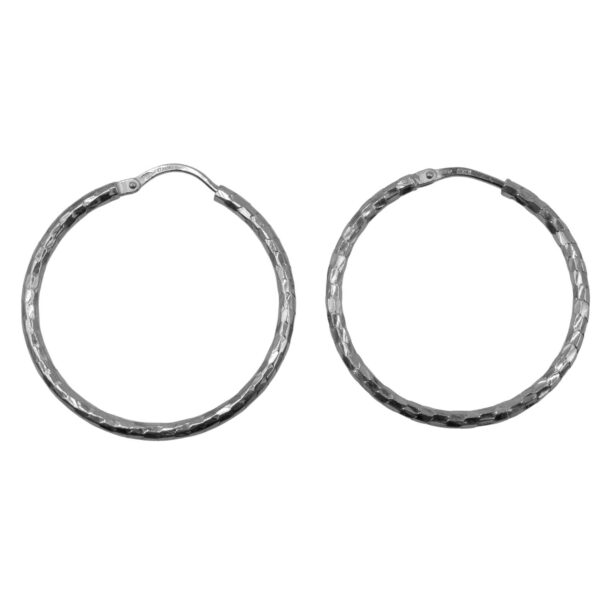 Σκουλαρίκια Αυτιού Ασημένια Επιπλατινωμένα Κρίκοι - EIT100