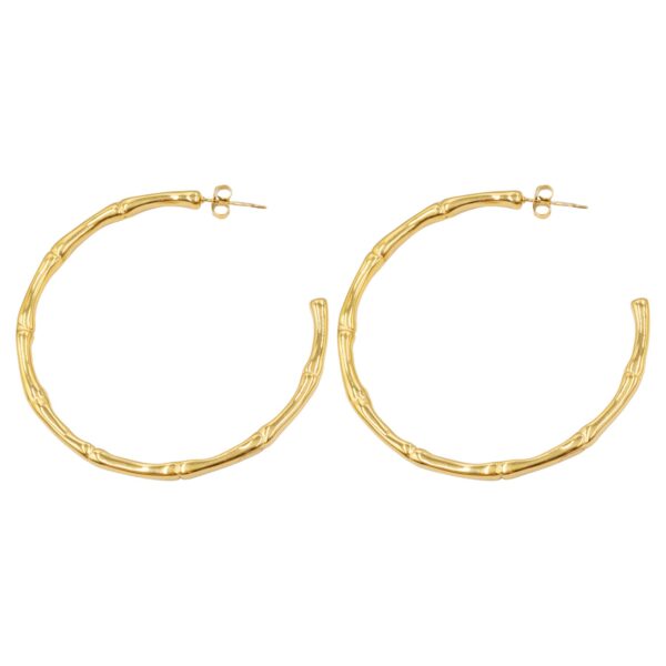 Σκουλαρίκια Αυτιού από Χειρουργικό Ατσάλι Επιχρυσωμένο - ATSEAR124