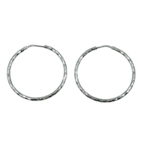 Σκουλαρίκια Αυτιού Ασημένια Επιπλατινωμένα Κρίκοι - EIT108