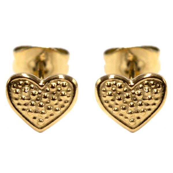 Σκουλαρίκια Αυτιού από Χειρουργικό Ατσάλι Επιχρυσωμένο - ATSEAR172