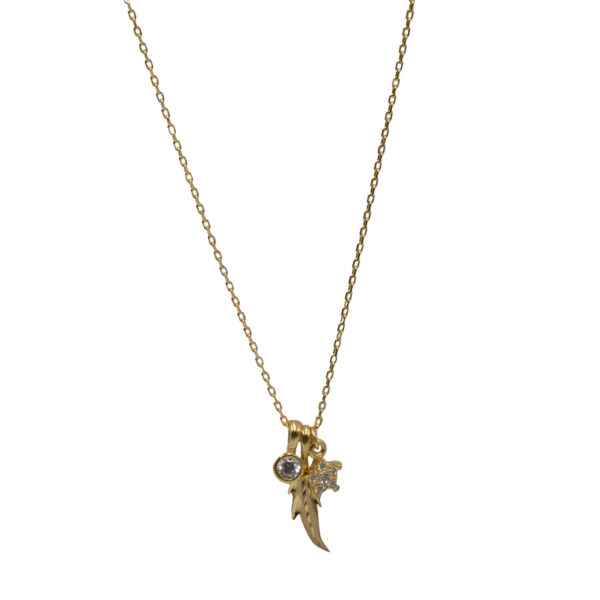 Κολιέ Ασημένιο Επιχρυσωμένο με Σχέδιο- AS132