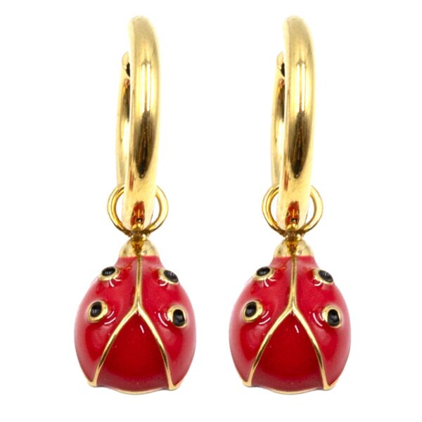 Σκουλαρίκια Αυτιού από Χειρουργικό Ατσάλι Επιχρυσωμένο - ATSEAR176