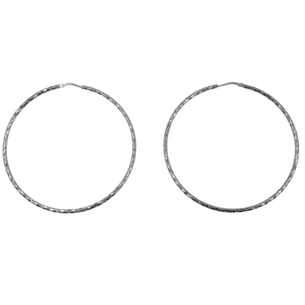 Σκουλαρίκια Αυτιού Ασημένια Επιπλατινωμένα Κρίκοι - EIT112
