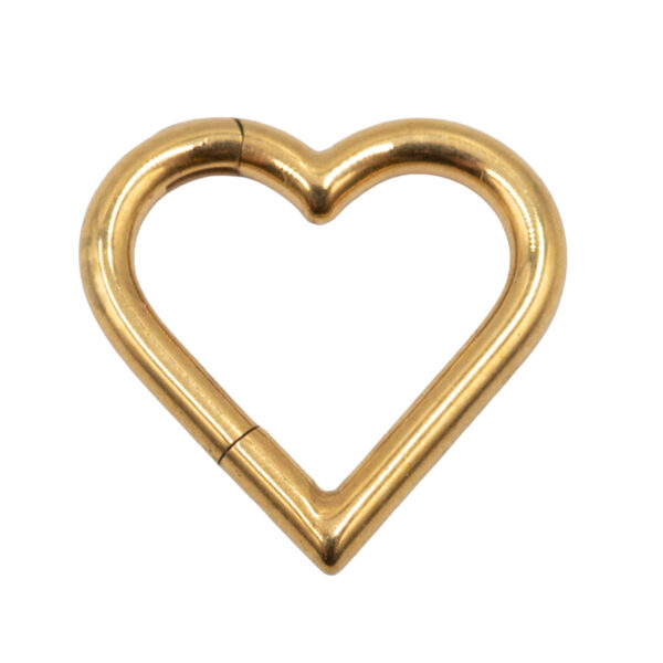 Σκουλαρίκι Σώματος από Επιχρυσωμένο Τιτάνιο- TB-0731Y