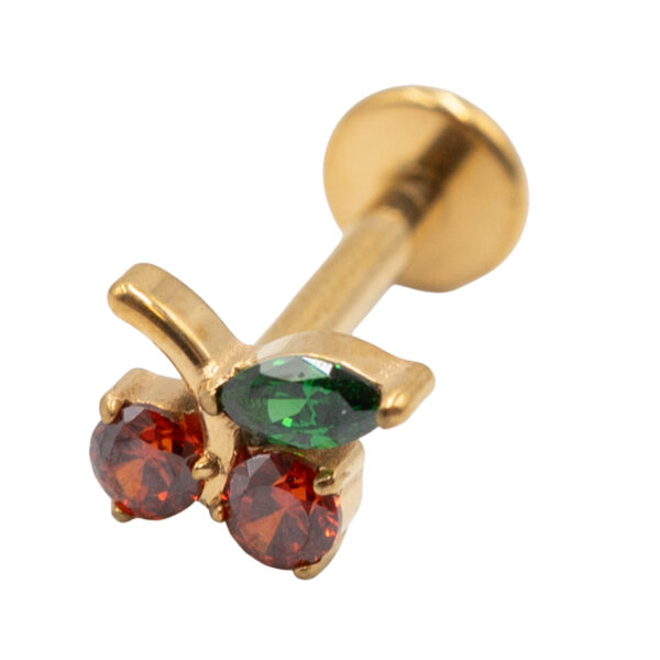 Σκουλαρίκι Αυτιού από Επιχρυσωμένο Τιτάνιο με ζιργκόν - TB-1947Y