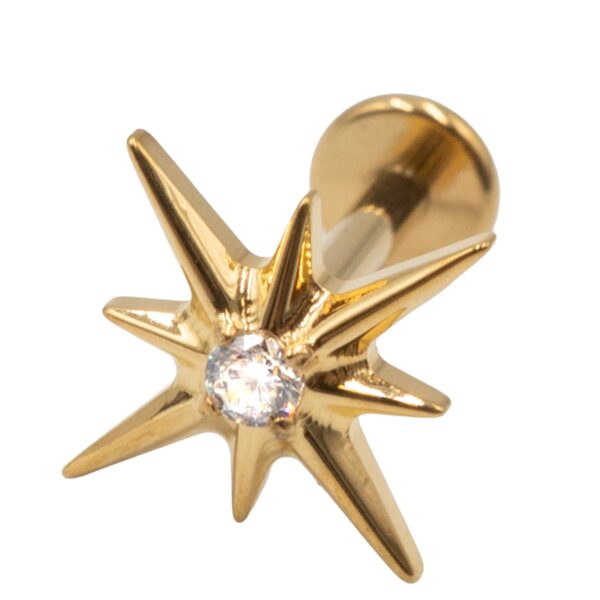 Σκουλαρίκι Αυτιού από Επιχρυσωμένο Τιτάνιο με ζιργκόν - TB-1991Y