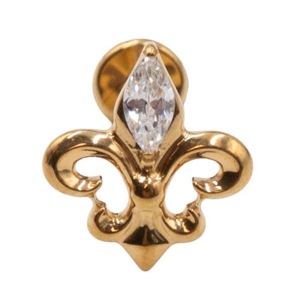 Σκουλαρίκι Αυτιού από Επιχρυσωμένο Τιτάνιο με ζιργκόν - TB-2097Y