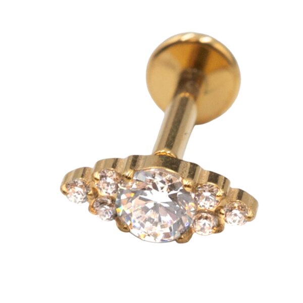 Σκουλαρίκι Αυτιού από Επιχρυσωμένο Τιτάνιο με ζιργκόν - TB-2132Y